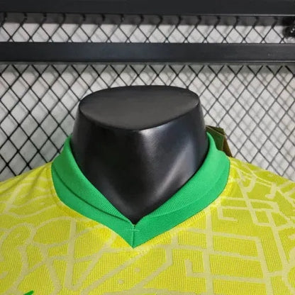 Thuisshirt Spelerseditie 24/25