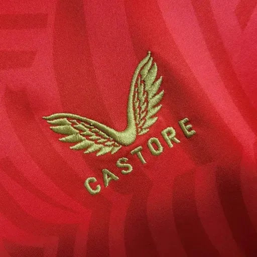 Away 23/24 Men’s Shirt