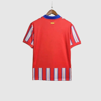 Thuisshirt 24/25 heren