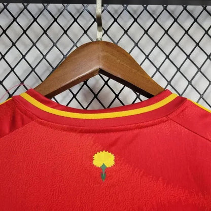 Thuisshirt Heren 24/25