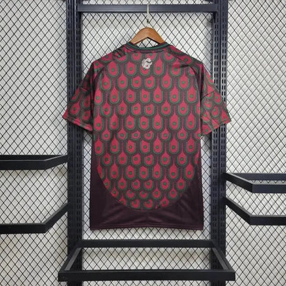 Thuisshirt Heren 24/25