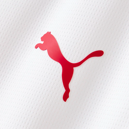 Away 26/27 Men’s Shirt