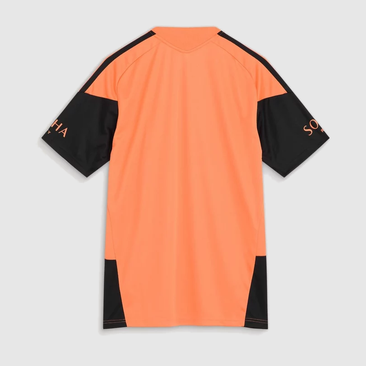 Training 2 26/27 Men’s Shirt
