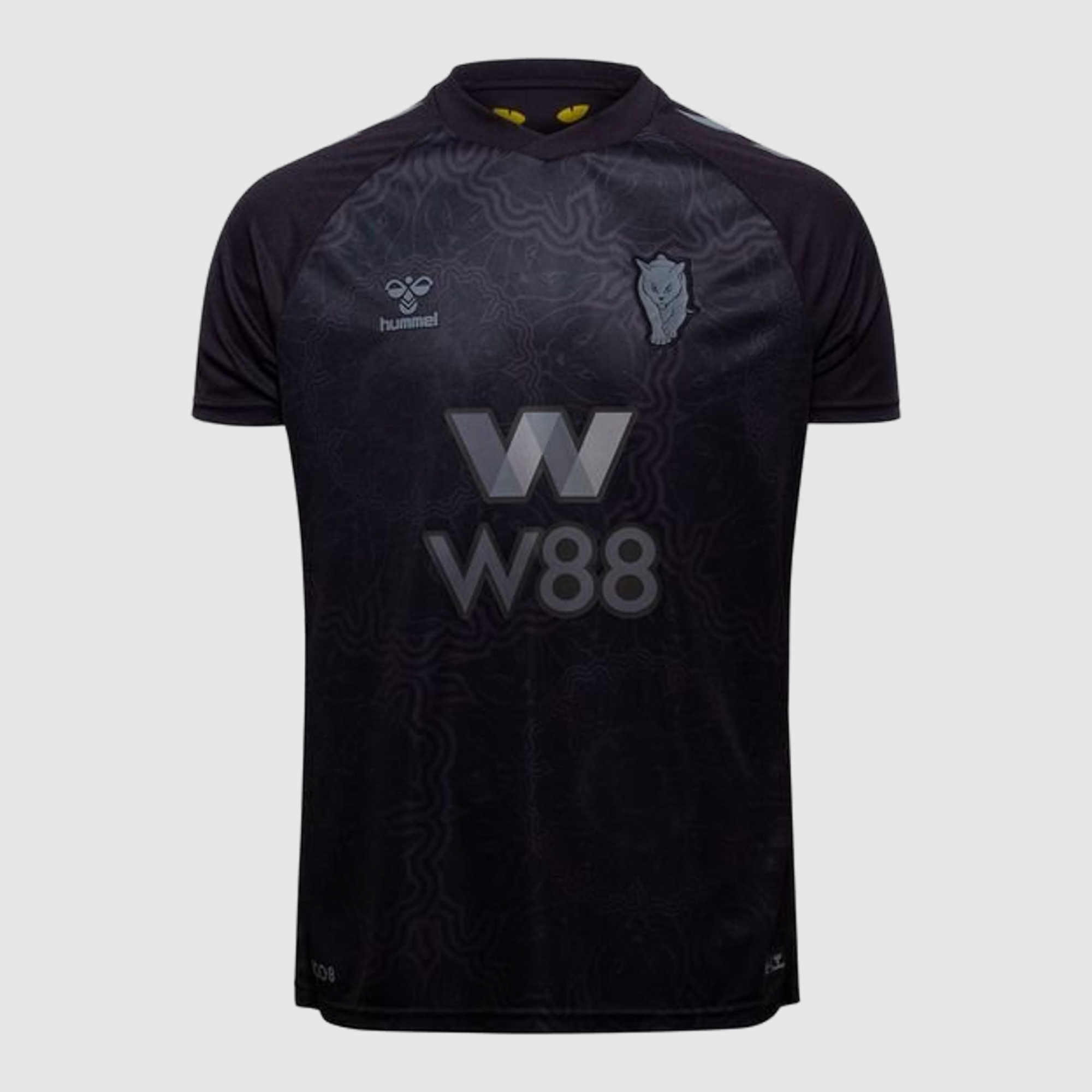 Selected Variant Image